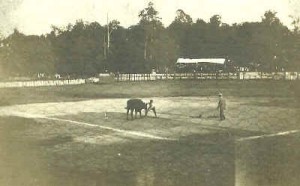 Subrurba's home field 