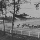 Ascot Park’s Horse Racing