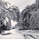 1870s Snow Storm