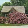 Cuyahoga Falls Cemeteries