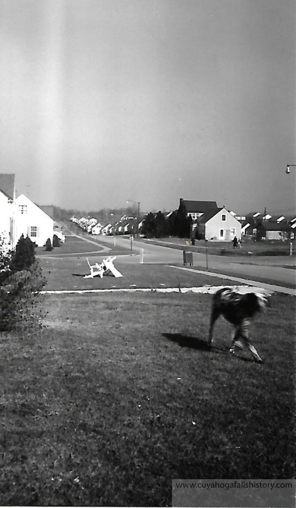 Spring 1950 – 24th Street and Phelps